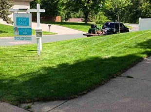 Delisha L.'s Lawn Mowing Service service result