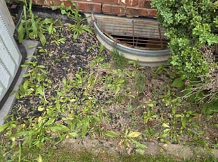 Weeding by Luay Hamdan for Beth D. in Tinley Park, IL
