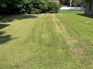 Bruce C.'s Lawn Mowing Service service result