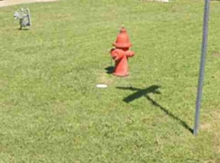 Adrienne H.'s Lawn Mowing service result