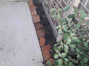 Weeding by Mark Shearer for Amber B. in Alvin, TX