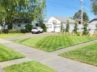 Alyssa M.'s Lawn Mowing Service service result