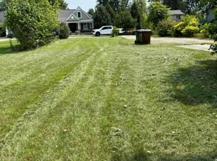 Pamela F.'s Lawn Maintenance service result