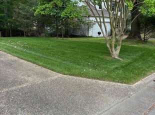 Rosemary D.'s Lawn Maintenance service result