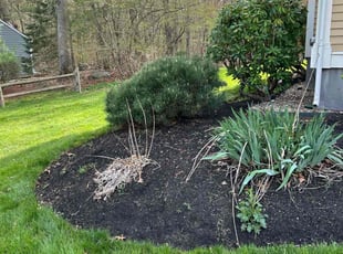 Leaf Removal by Tara Hanson for YONGBIN Y. in North Andover, MA