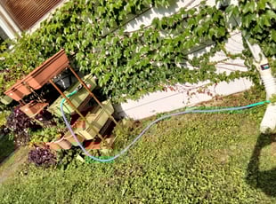Cleanups by Jose Perez for Ted B. in Park Ridge, IL
