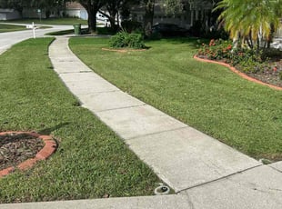 Richard C.'s Lawn Mowing service result