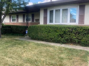 Bush Trimming by Buckeye Touch for Cindy A. in Columbus, OH