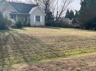 Jean S.'s Lawn Mowing service result