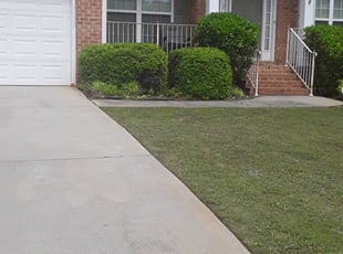 Bush Trimming by Ralph Mcgruder for Shaun H. in Locust Grove, GA