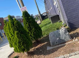 Weeding by Preston Small for Skip T. in Charlotte, NC