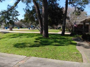 Whitney G.'s Lawn Care service result