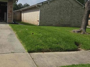 Bill H.'s Lawn Mowing Service service result