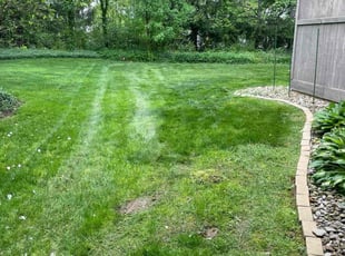 Catlin B.'s Lawn Service service result