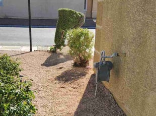 Bush Trimming by Lamont Johnson for Alpert G. in Las Vegas, NV