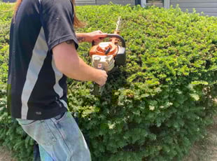 Bush Trimming by Dave Ehrenberg for Michael W. in Columbus, OH