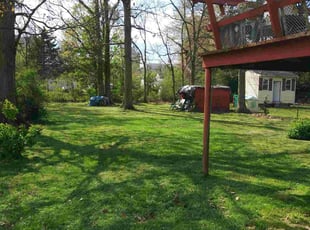Deborah M.'s Lawn Mowing service result