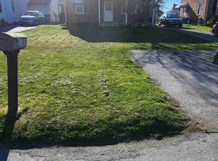 LaKina H.'s Lawn Mowing service result