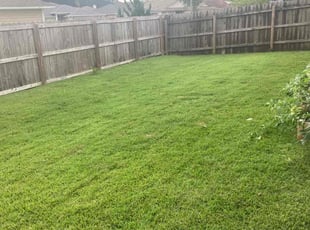 Sasha H.'s Lawn Service service result