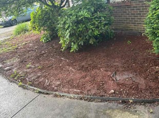 Leaf Removal by Papillon Keeler for Sara P. in Greenville, PA