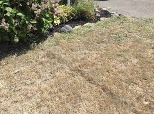 Landscaping by Matthew Spinelli for Patricia C. in Milford, CT