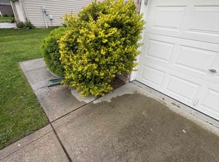 Weeding by Anthony Grant for Jessica W. in Indianapolis, IN