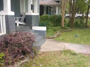Bush Trimming by Adams Paiz for Michael Q. in Charlotte, NC