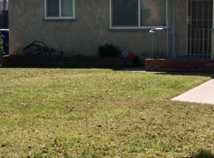 Leaf Removal by Jennifer Ortiz for Sherri W. in Fresno, CA