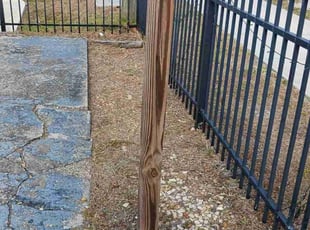 Cleanups by Cesar Romero for Thomas R. in Naples, FL