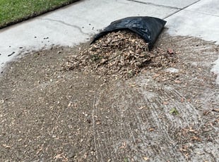 Leaf Removal by Eric Carl for Barry W. in Orlando, FL