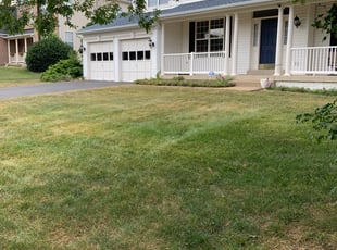 Weeding by Seth Wooddell for Diane D. in Leesburg, VA