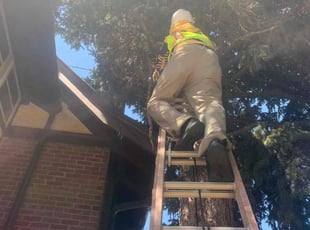 Cleanups by Justin Hands for Taylor J. in Denver, CO