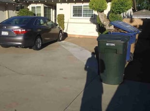 Bush Trimming by Brandon Myers for Mary G. in Bakersfield, CA