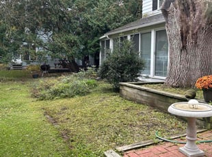 Weeding by David Bowen for Patricia Y. in Syracuse, NY