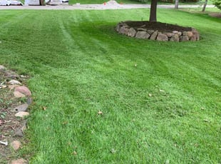 Mark D.'s Lawn Mowing Service service result