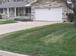 Leaf Removal by Rob Cordes for Dan R. in Fridley, MN