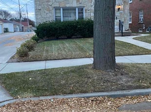Leaf Removal by Emmanuel Trejo Bautista for Charles R. in Milwaukee, WI