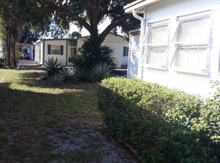Bush Trimming by Scott Bensing for Steven M. in Holiday, FL