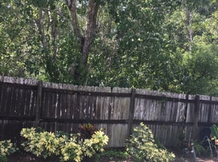 Landscaping by Maria Mercedes Ortiz for Bernadette C. in Orlando, FL