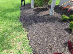 Weeding by Milynel Burgos for Jovan P. in Orlando, FL
