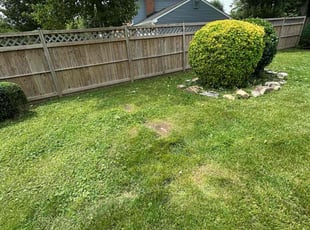 Bush Trimming by Fidel Rodriguez for Kim Z. in Alexandria, VA