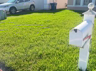 Angela H.'s Lawn Care service result