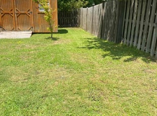 Ashley Z.'s Lawn Mowing Service service result