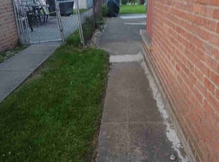 Leaf Removal by Miriam S Rivera Ordonez for Franklyn k. in Skokie, IL