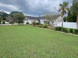 Bush Trimming by Hans Temme for Abel C. in Tampa, FL