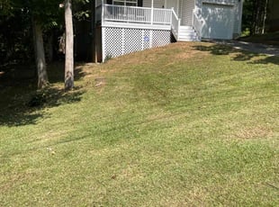 Cleanups by Jeffrey Curtis for Helena H. in Fairburn, GA