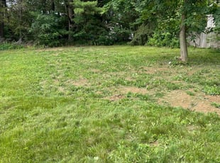 Cleanups by Chai Vue for Teresa S. in Akron, OH