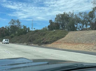 Bush Trimming by Nicholas Poulsen for David M. in San Diego, CA