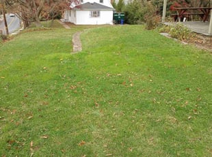 Leaf Removal by Matt Brady for John A. in Jenkintown, PA