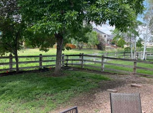 Weeding by Riley Harris for Gail M. in Commerce City, CO